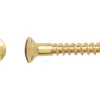 Linsensenkkopf Holzschraube Schlitz-Antrieb Ø 2,5 mm x 16 mm 25 Stück* Holzregale