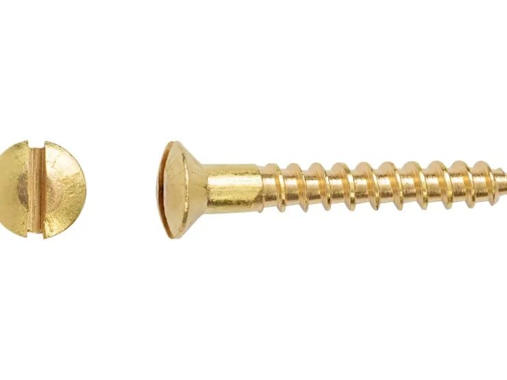 Linsensenkkopf Holzschraube Schlitz-Antrieb Ø 2,5 mm x 16 mm 25 Stück* Holzregale