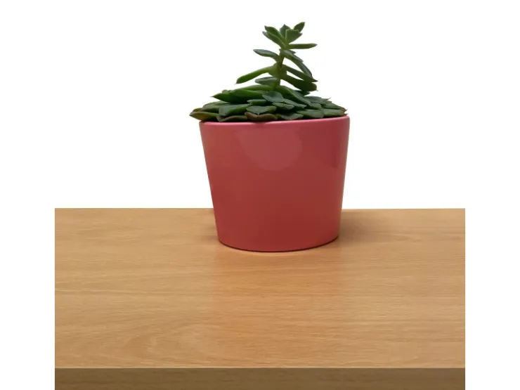 Möbelbauplatte 260 cm x 20 cm x 1,9 cm* Regalsysteme