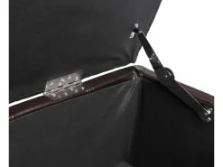 MCW Aufbewahrungs-Truhe Kriens Leder/Kunstleder 112x45x45cm