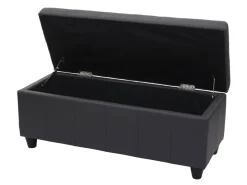 MCW Aufbewahrungs-Truhe Kriens Kunstleder 45x114x45cm Matt* Aufbewahrung