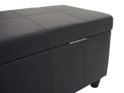 MCW Aufbewahrungs-Truhe Kriens Kunstleder 45x114x45cm Matt* Aufbewahrung