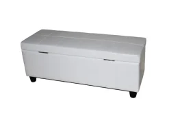 MCW Aufbewahrungs-Truhe Kriens Leder/Kunstleder 112x45x45cm