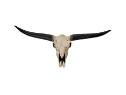 MCW Deko Schädel 132cm A14 Stier Naturfarben