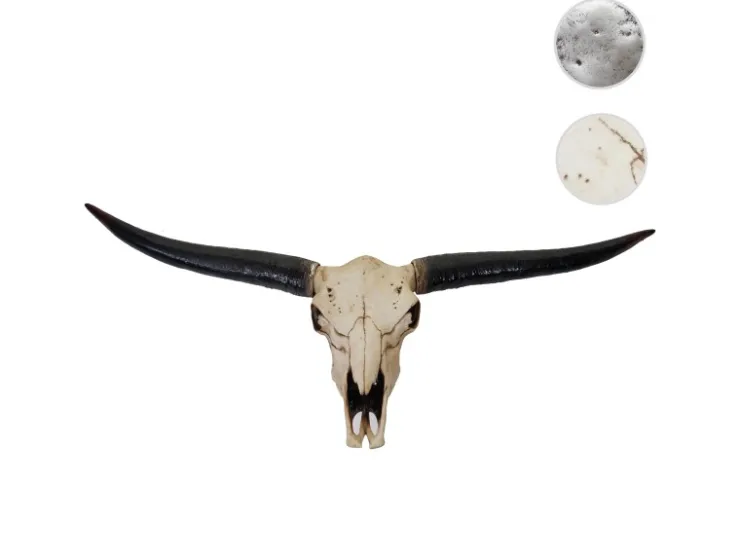 MCW Deko Schädel 132cm A14 Stier Naturfarben
