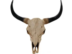 MCW Deko Schädel 45cm T454 Stier Naturfarben* Dekorative Figuren