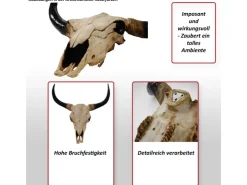 MCW Deko Schädel 45cm T454 Stier Naturfarben* Dekorative Figuren