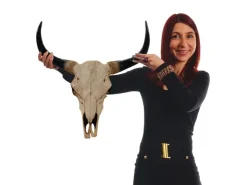 MCW Deko Schädel 45cm T454 Stier Naturfarben* Dekorative Figuren