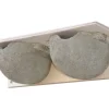 Mehlschwalben Doppelnest 11 cm x 46 cm x 14 cm Grau