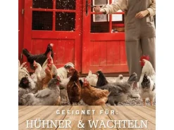 MeineHennen KÖRNER VITAL EXZELLENT 30 Kg PREMIUM Hühnerfutter Wachtelfutter mit Muschelschalen Buchweizen und Hirse* Kleintierbedarf