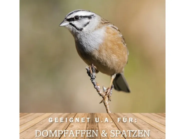 MeinWildvogel WILDVOGEL VITAL 15 kg Vogelfutter Ganzjahresfutter für Wildvögel und Gartenvögel Wildvogelfutter OHNE GENTECHNIK