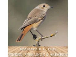MeinWildvogel WILDVOGEL VITAL 15 kg Vogelfutter Ganzjahresfutter für Wildvögel und Gartenvögel Wildvogelfutter OHNE GENTECHNIK
