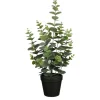 Mica Decorations Eucalyptus im Topf Grün 53 Ø 23 cm* Kunstpflanzen