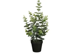 Mica Decorations Eucalyptus im Topf Grün 53 Ø 23 cm* Kunstpflanzen