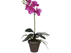 Mica Decorations Kunstpflanze Phalaenopsis im Topf Ø 13 cm x 48 cm