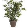 Mica Decorations Kunstpflanze Ficus Natasja in Topf Grün-Weiß H 40 cm, Ø: 30 cm* Kommode|Sideboards
