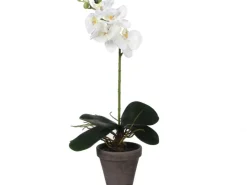 Mica Decorations Kunstpflanze Phalaenopsis im Topf Ø 13 cm x 48 cm