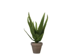 Mica Decorations Kunstpflanze Aloe Vera im Blumentopf Stan Ø 16 cm x 30 cm Grün* Kunstpflanzen