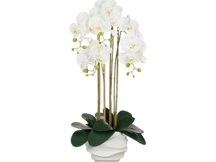 Mica Decorations Kunstpflanze Phalaenopsis In Topf 40 cm x 34 cm x 82 cm* Kunstpflanzen