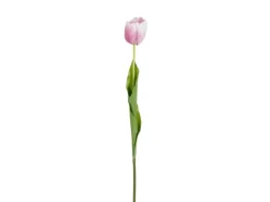 MICA Kunstblume Tulpe 70 cm* Kunstpflanzen