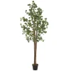 ML-Design Künstliche Eukalyptus 210cm Groß Kunstpflanze Naturholzstamm* Kunstpflanzen