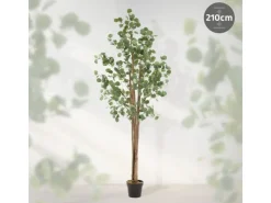 ML-Design Künstliche Eukalyptus 210cm Groß Kunstpflanze Naturholzstamm* Kunstpflanzen