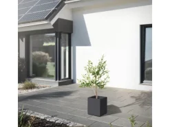 ML-Design Künstlicher Olivenbaum im Topf 120cm Groß mit Naturholzstamm* Kunstpflanzen