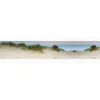 Myspotti Küchenrückwandfolie Dünenpanorama Selbstklebend 450 cm x 60 cm* Klebefolien