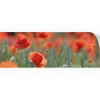 Myspotti Küchenrückwandfolie Mohn Selbstklebend 220 cm x 60 cm* Klebefolien
