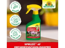 Neudorff Spruzit AF Orchideen Schädlingsfrei 250 ml* Insektenschutz