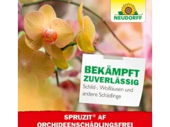 Neudorff Spruzit AF Orchideen Schädlingsfrei 250 ml* Insektenschutz