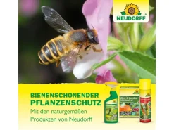 Neudorff Spruzit AF Orchideen Schädlingsfrei 250 ml* Insektenschutz