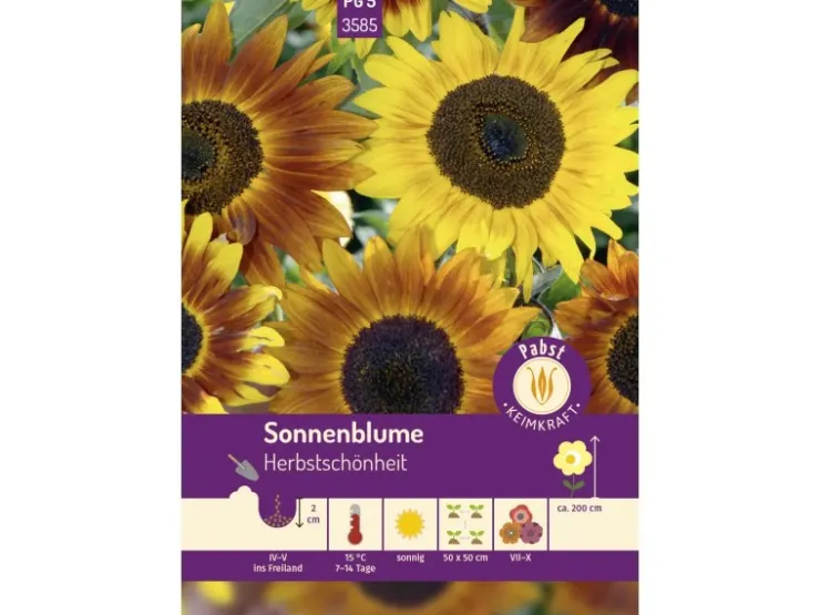 Pabst Keimkraft Sonnenblume Herbstschönheit Saatgut* Vasen