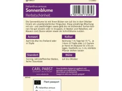Pabst Keimkraft Sonnenblume Herbstschönheit Saatgut* Vasen