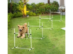 PawHut Agility Hürdenset* Hundebedarf