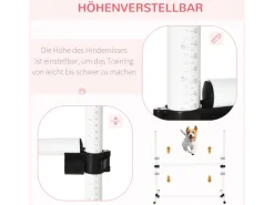 PawHut Agility Hürdenset* Hundebedarf