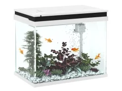 PawHut Aquarium Filtersystem Glas ABS Weiß 48L x 30B x 41H cm* Terraristik
