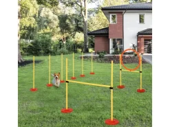 PawHut Hunde Agility Set 3-in-1-Training Inklusive Tasche