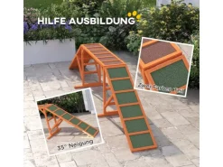 PawHut Hunde Agility Steg Tannenholz Orange 325L x 55B x 69H cm