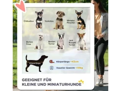 PawHut Hundebuggy für Kleine Hunde und Katzen Klappbar