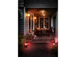 Philips Hue White & Color Amb. Econic LED-Laternenleuchte stehend