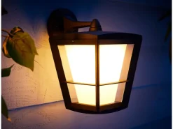 Philips Hue White & Color Amb. Econic LED-Laternenleuchte hängend* Laternen
