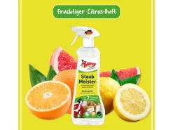 Poliboy Staubmeister Antistatik-Spray 500ml* Reinigung