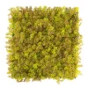 Primaflor Kunsthecke Moos Braun 50x50cm