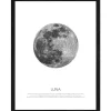 Pro Art Bild Framed Art Blue moon 40 cm x 30 cm