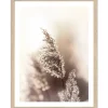 Pro Art Bild Framed Art Dried Fiber 40 cm x 30 cm