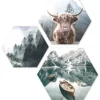 Pro Art Bildkacheln Cut-Out Forest Lake Atmosphere 3 Stk. 50 cm x 50 cm* Bilder