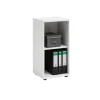 PROREGAL Aktenregal Tiger Small HxBxT 77 x 40 x 34 cm 2 Fächern Weiß