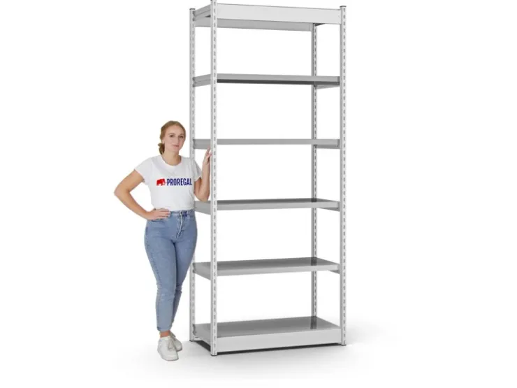 PROREGAL Fachbodenregal Stecksystem Vierkant-Profil Grundregal HxBxT 250 x 102,5 x 50 cm 6 Ebenen Einseitige Bauart Fachlast 200 kg