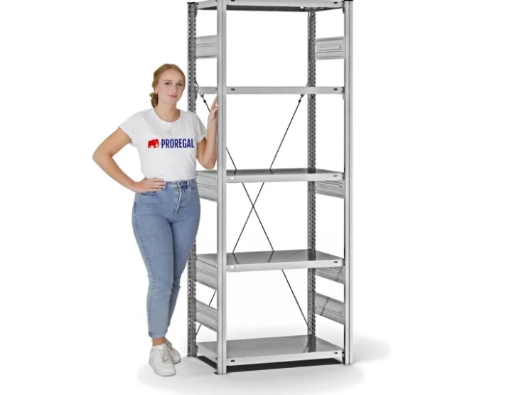 PROREGAL Fachbodenregal Stecksystem T-Profil Heavy-Duty Grundregal HxBxT 200 x 75 x 40 cm 5 Ebenen Fachlast 300 kg Einseitig Nutzbar